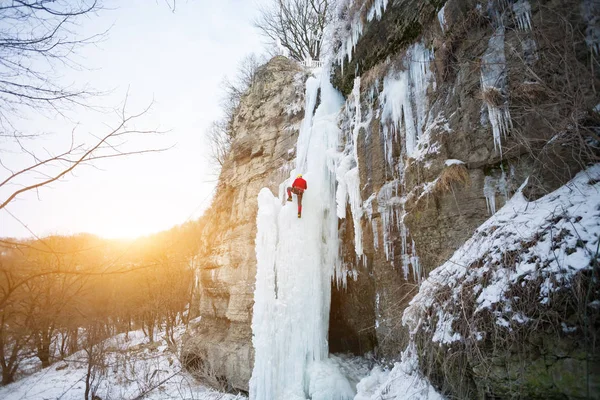 Dağcı buza tırmanıyor.