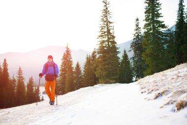 Doğada Hiking adam.