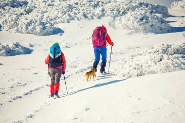 iki kız bir köpekle.