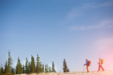 Bir grup dağcı dağlarda.