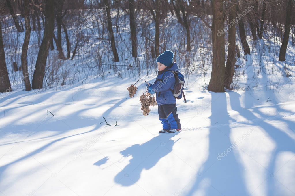 The boy with the branch stands in the snow.