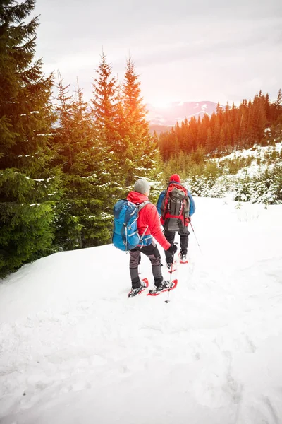 Due scalatori in inverno . — Foto Stock