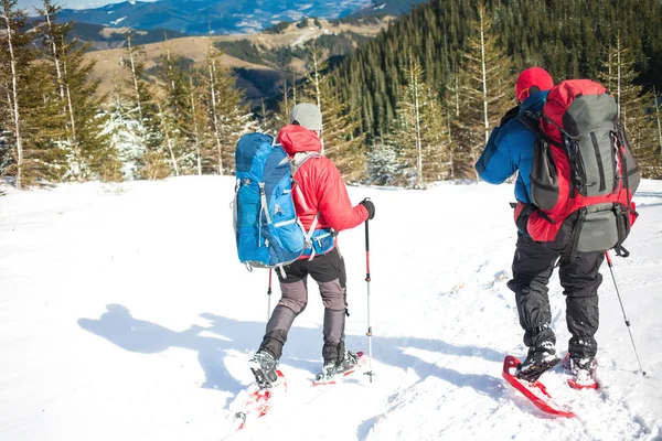 Dois alpinistas estão nas montanhas . — Fotografia de Stock