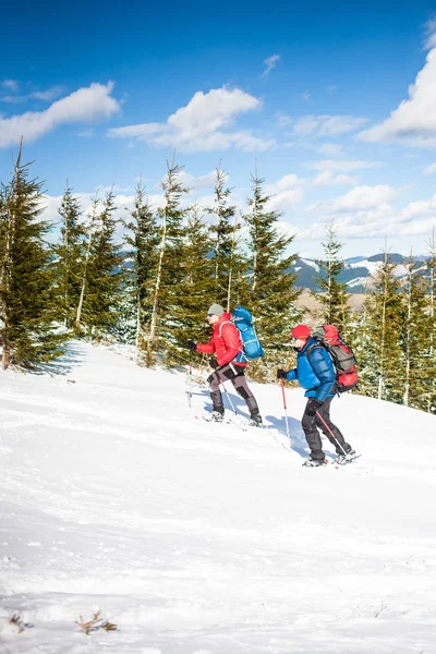 Dois alpinistas estão nas montanhas . — Fotografia de Stock