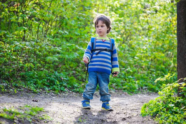 Un niño camina por el bosque. —  Fotos de Stock
