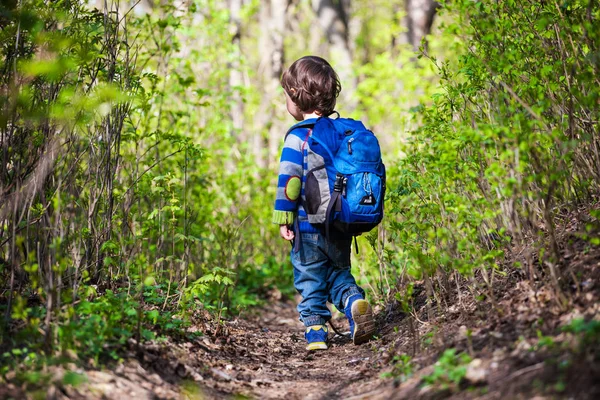 Ett barn går genom skogen. — Stockfoto