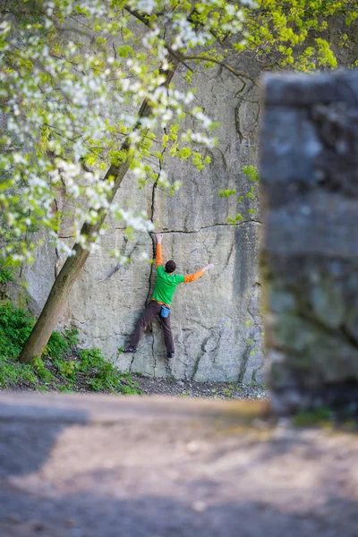 Bergsteiger klettert auf den Felsen. — Stockfoto