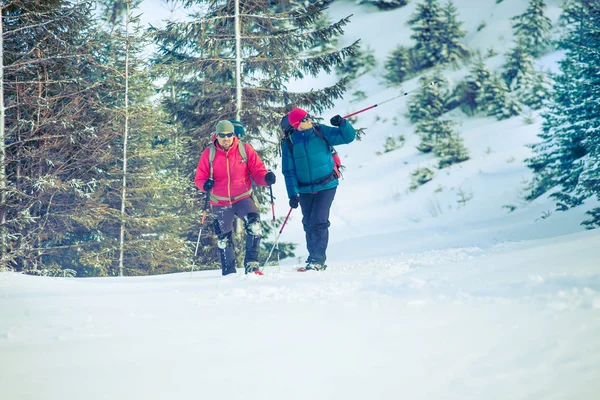 Two climbers are in the mountains. — Stock Photo, Image