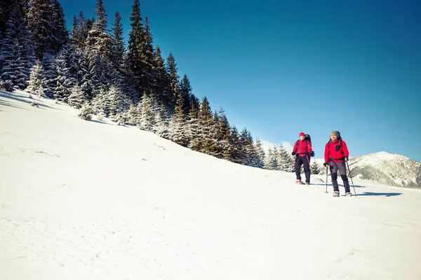 Dwóch wspinaczy w górach w zimie. — Zdjęcie stockowe
