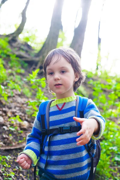 Uma criança caminha pela floresta. — Fotografia de Stock