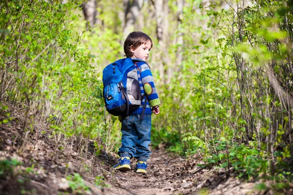 Ребенок ходит по лесу. — стоковое фото