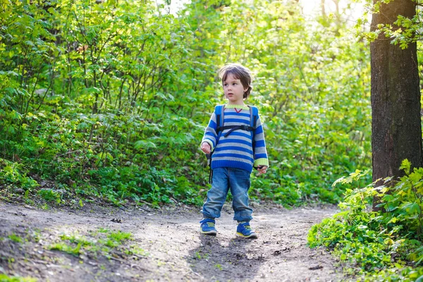 Dziecko spaceruje po lesie.. — Zdjęcie stockowe
