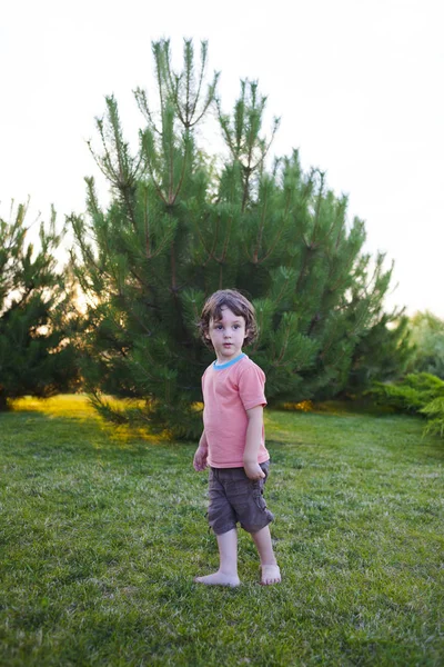 少年は芝生の上に立っています。. — ストック写真