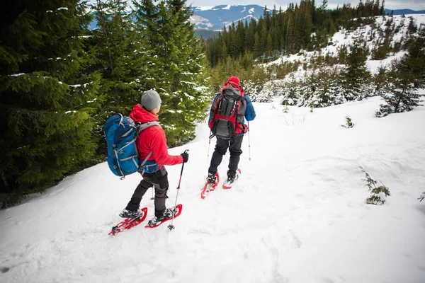 Dos escaladores en las montañas en invierno . — Foto de Stock