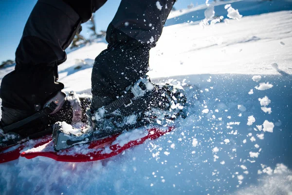 Mann in Schneeschuhen. — Stockfoto