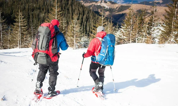 Dois alpinistas estão nas montanhas . — Fotografia de Stock