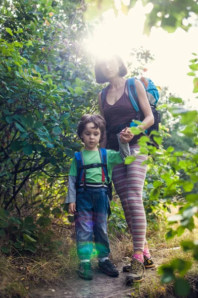 Fiú és anya az erdő. — Stock Fotó