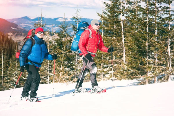 Dois alpinistas estão nas montanhas . — Fotografia de Stock