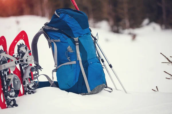Sırt çantası, kar ayakkabıları ve trekking direkleri. — Stok fotoğraf