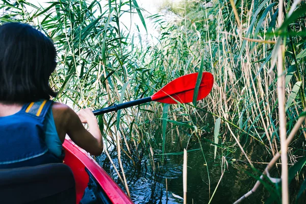 Kayık ormanda gezen.