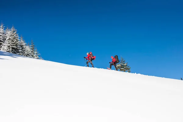 Dva horolezci jsou v horách. — Stock fotografie