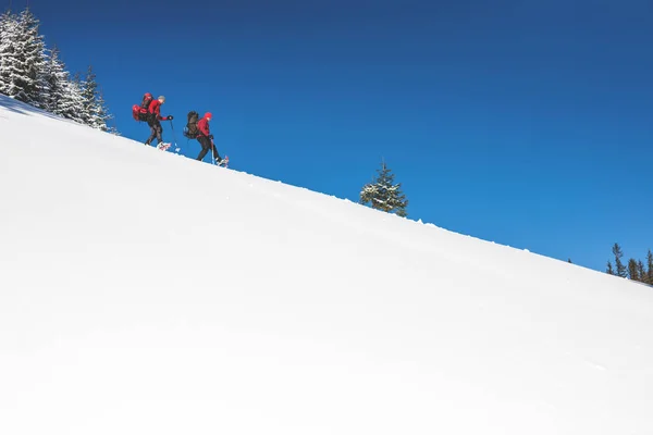Dos escaladores están en las montañas . — Foto de Stock