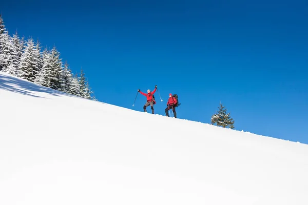 Dois alpinistas estão nas montanhas . — Fotografia de Stock