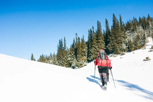 Two climbers are in the mountains. — Stock Photo, Image