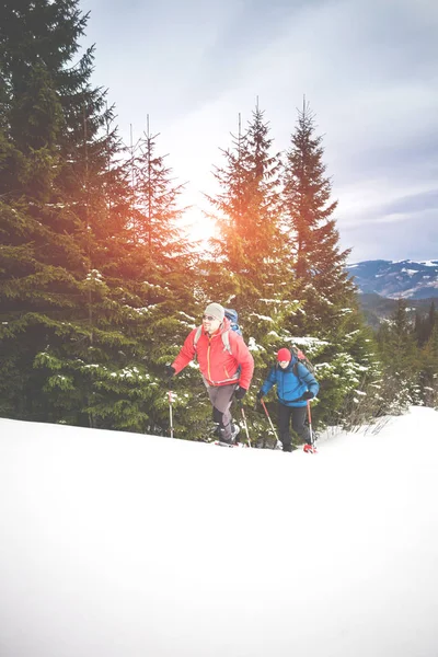 Dos escaladores en invierno . — Foto de Stock