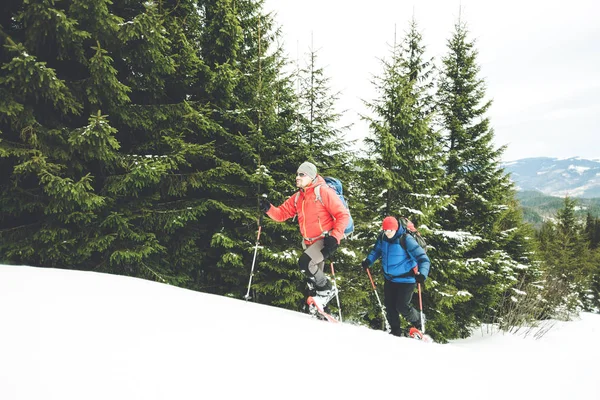 Δύο ορειβάτες το χειμώνα. — Φωτογραφία Αρχείου