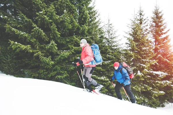 Two climbers in the winter. — Stock Photo, Image