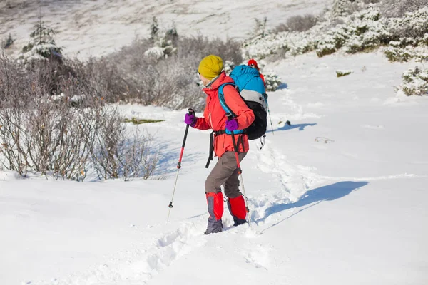 Gli scalatori sono sulla neve . — Foto Stock