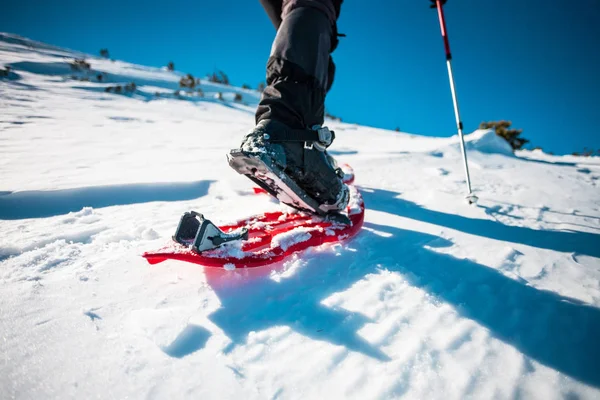 Hombre en raquetas de nieve . — Foto de Stock