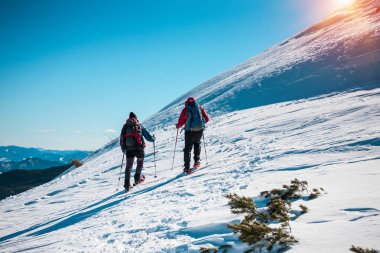 Dağlarda iki dost..