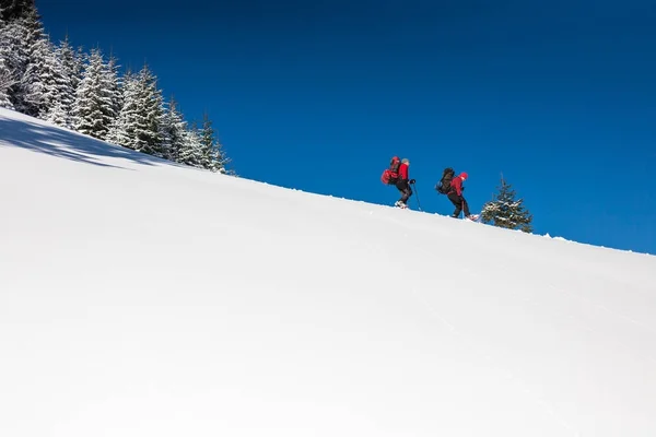Dos escaladores están en las montañas . — Foto de Stock