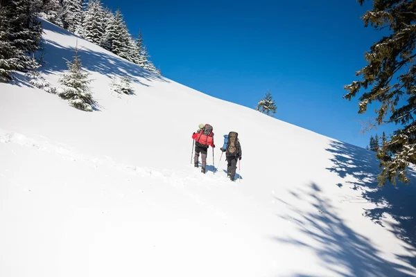 Due scalatori sono in montagna . — Foto Stock