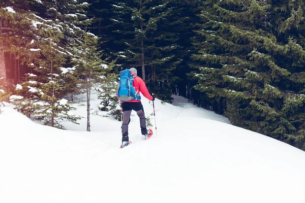 冬の山で登山者. — ストック写真