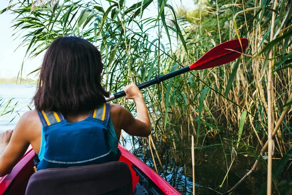 kayak swims through the jungle.