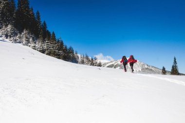 İki dağcı dağda vardır.