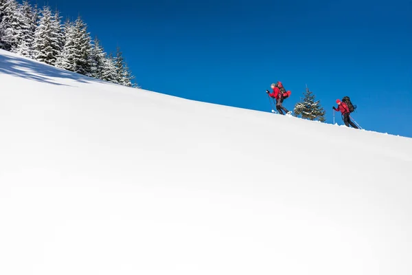 Dois alpinistas estão nas montanhas . — Fotografia de Stock