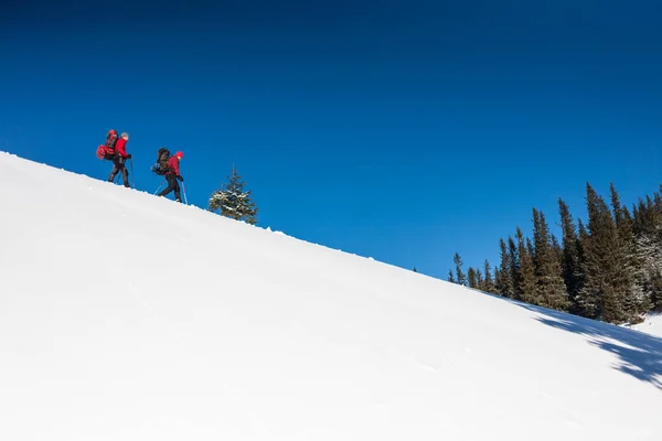 Deux alpinistes sont dans les montagnes . — Photo