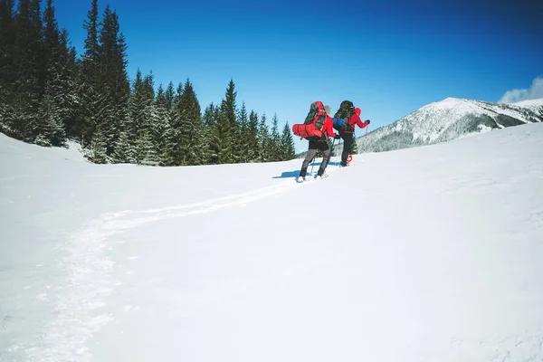 Two climbers are in the mountains. — Stock Photo, Image