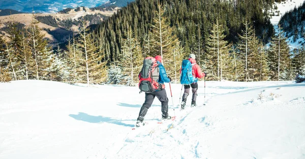 Dois alpinistas estão nas montanhas . — Fotografia de Stock