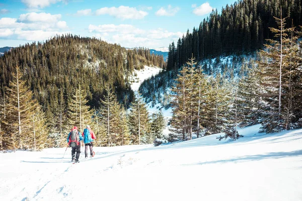 Due scalatori sono in montagna . — Foto Stock