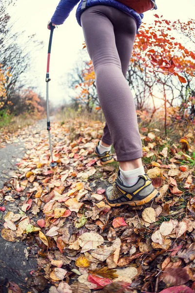 Dziewczyna z kije trekkingowe. — Zdjęcie stockowe