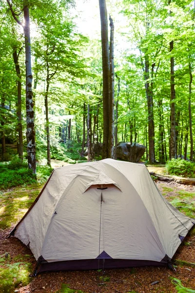 Tenda nella foresta decidua . — Foto Stock