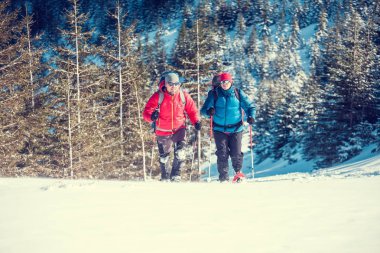 İki dağcı dağda vardır.