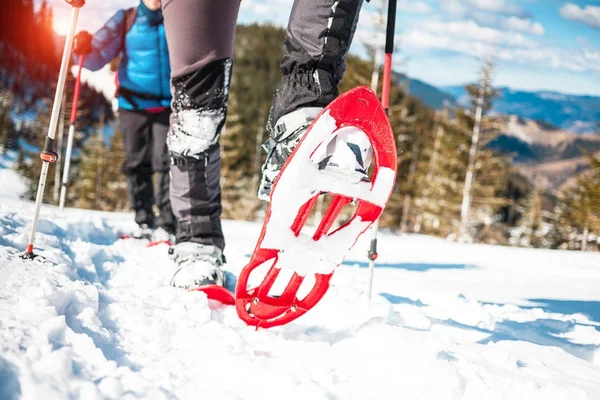 Due scalatori sono in montagna . — Foto Stock