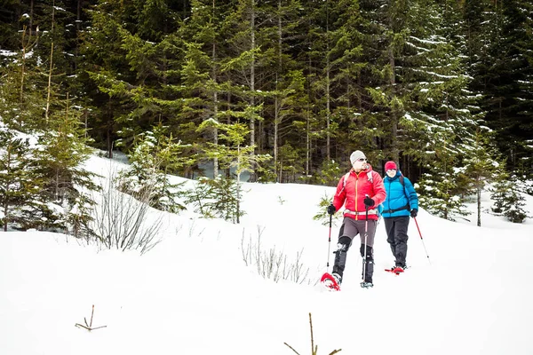 Dois alpinistas estão nas montanhas . — Fotografia de Stock