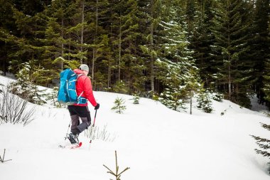 Dağcı kış dağlarda.